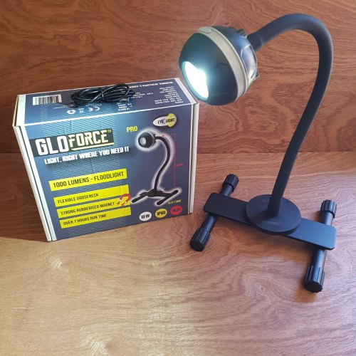 Gloforce Lights