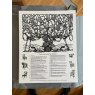 Lost Art Press ''Family Tree of Chairs'' Letterpress Poster